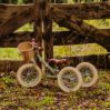 Balance bike - three wheels - icon