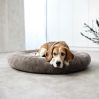 Donut bed - Fippa - icon_3