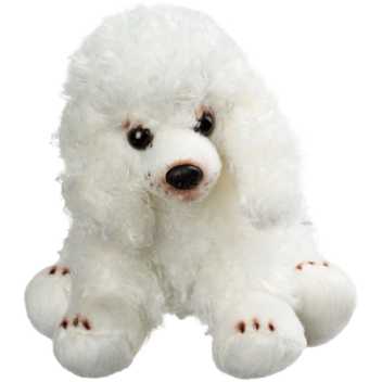 Sitting white poodle - small