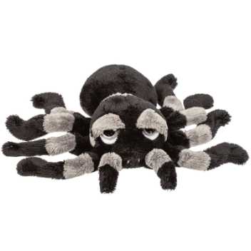 Grey spider - small