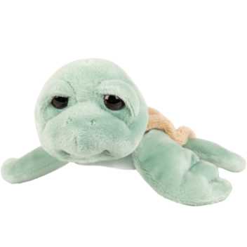 Green turtle - small