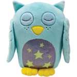 Luminous goodnight owl