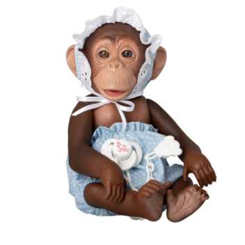 Chimpanzee - Nilo
