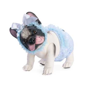 Reborn bulldog - Lily