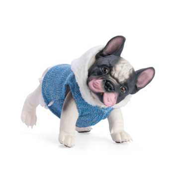 Reborn bulldog - Nono