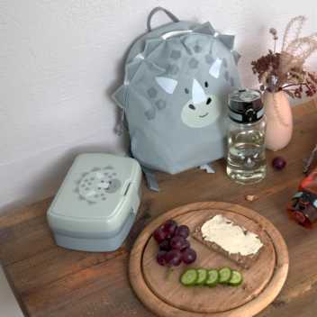 Lunch set - dino