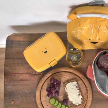 Lunch set - lion