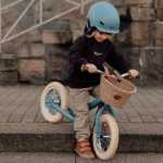 Balance bike - two wheels