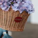 Woven basket for Trybike