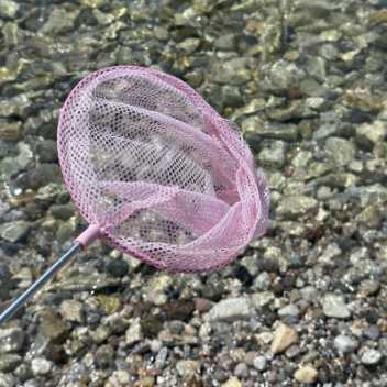 Telescopic fish net - blush rose