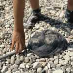 Telescopic fish net - anthracite grey