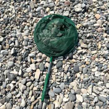 Telescopic fish net - dark green