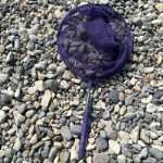 Telescopic fish net - dark purple