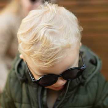 Model Craspedia - Black