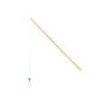 Fishing rod for ducks