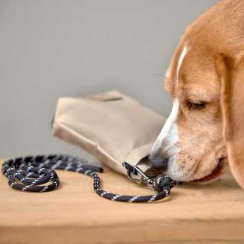 Treat bag - Karl