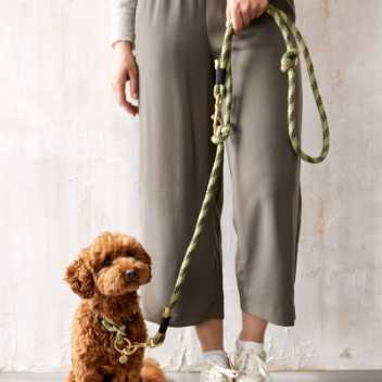Dog leash - Willa