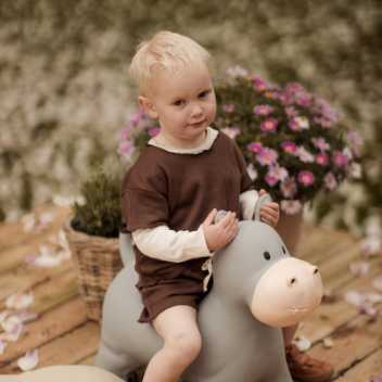 Jumping animal - hippo