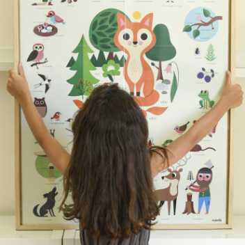 Discovery poster - forest