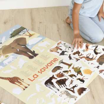 Discovery poster – savanna