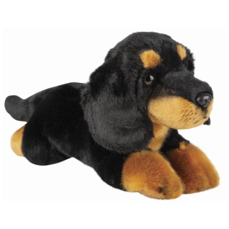 Resting black dachshund - medium
