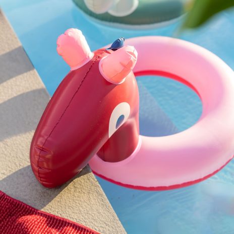 Swim ring with a head - horse - 2