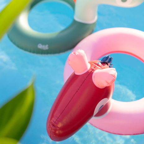 Swim ring with a head - horse - 3