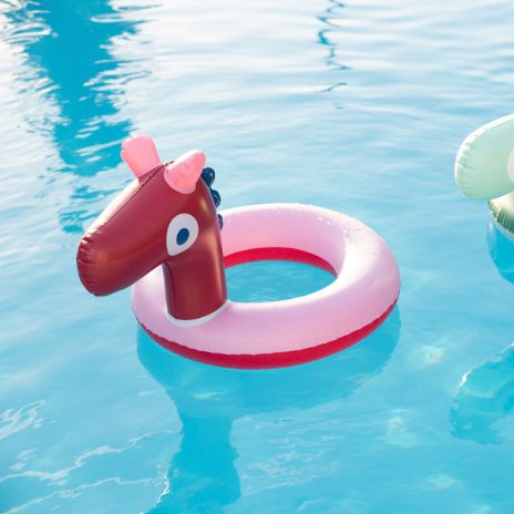 Swim ring with a head - horse - 4