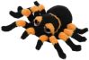 Orange spider - small - icon