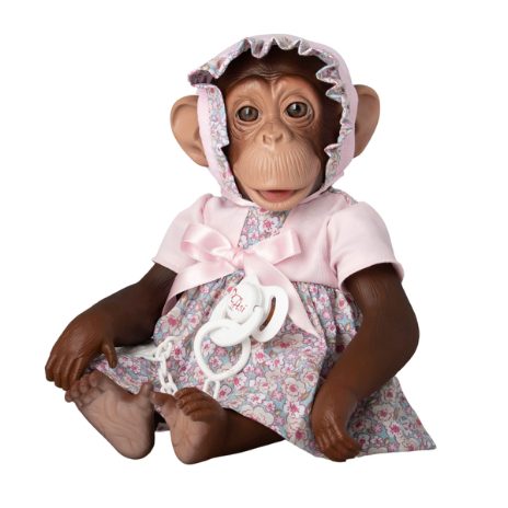 Chimpanzee - Lola 