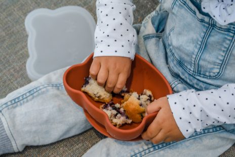 Bear stickie bowl with lid - rust - 8