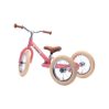 Balance bike - three wheels - icon_6