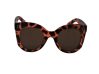 Brooke - tortoise - icon_1