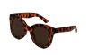 Brooke - tortoise - icon_2