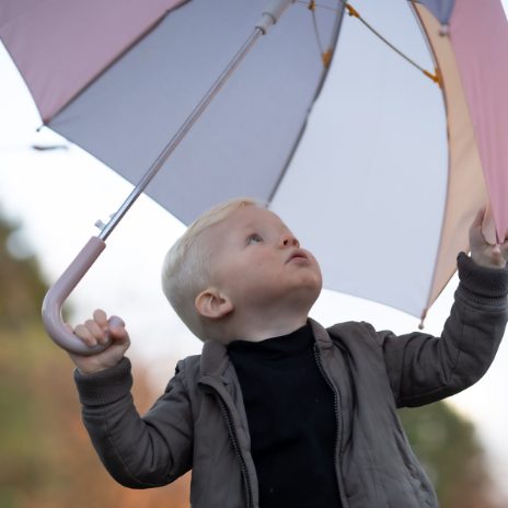 Umbrella - wide stripes - 5