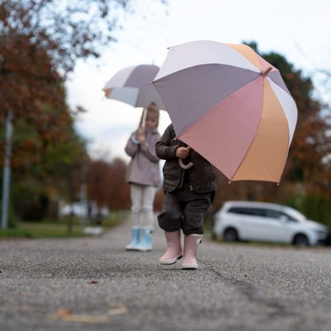 Umbrella - wide stripes - 6