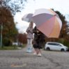 Umbrella - wide stripes - icon_6