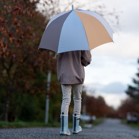 Umbrella - wide stripes