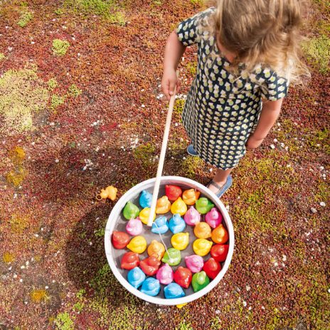 Pluck one duck - rainbow - 1
