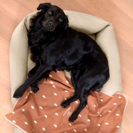 Dog blanket - Ida  - 1