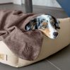 Dog blanket - Mathilde - icon