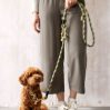 Dog leash - Willa - icon