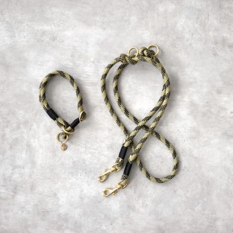 Dog leash - Willa - 2