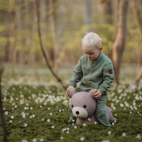Jumping animal - bear  - 2