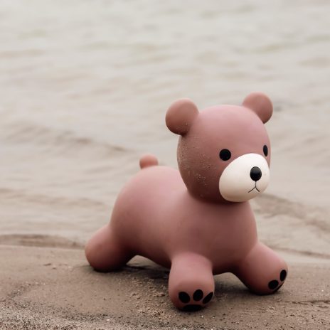 Jumping animal - bear  - 4