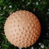 Large sensory ball - Desert Sand - icon_2