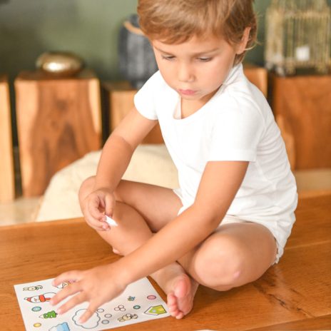 Sticker box - seasons    - 3