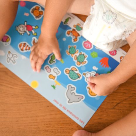 Sticker box - animals  - 1