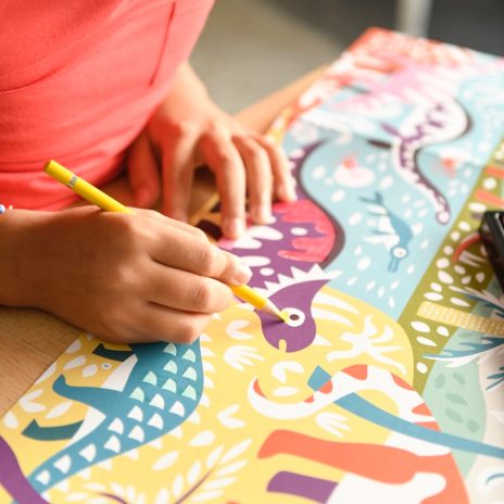 Colouring poster - dinosaurs  - 3
