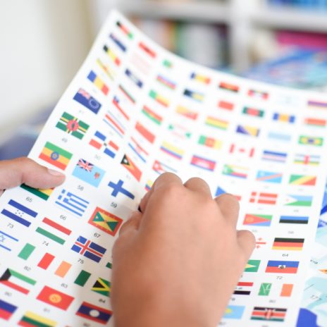 Discovery poster - flags  - 2